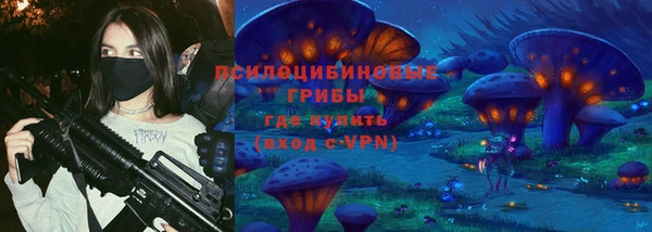 соль курить ск Нязепетровск