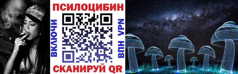 даркнет сайт  мориарти какой сайт  Псилоцибиновые грибы мухоморы  Берёзовка 